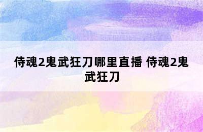 侍魂2鬼武狂刀哪里直播 侍魂2鬼武狂刀